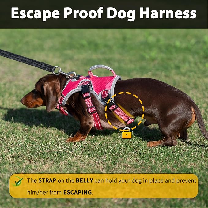 Escape Proof Dog Harness, Dachshund Harness, Reflective Dog Harness with Handle, Durable,Adjustable Vest for Small Medium Large Dogs Walking, Training, and Running Gear (Rose red,L)