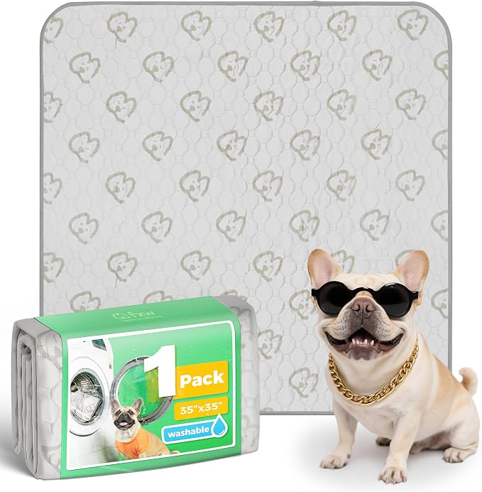 FXW Washable Pee Pads for Dogs, Super Absorbent, 35" Square, 1 Pack | Machine washable, Non-slip backing