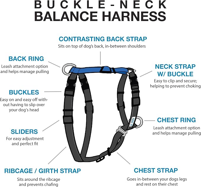 Blue-9 Buckle-Neck Balance Harness, Fully Customizable Fit No-Pull Harness, Ideal for Dog Training and Obedience, Made in The USA, Camo, Medium/Large