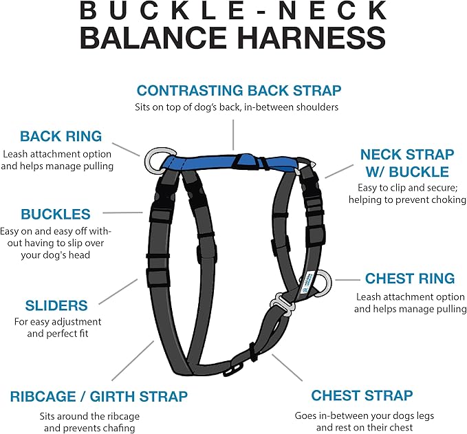 Blue-9 Buckle-Neck Balance Harness, Fully Customizable Fit No-Pull Harness, Ideal for Dog Training and Obedience, Made in The USA, Black, Medium/Large