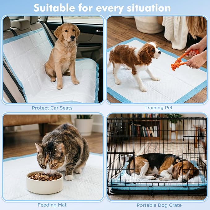 Puppy Pads XXXL 31"x 55" 40 Count,Pee Pads for Large Dogs & Multi-pet Families, Disposable Pet Training Pads for Doggie,Cat , Incontinence Underpads Ultra Absorbent & Quick-Dry, Leakproof Potty Pad
