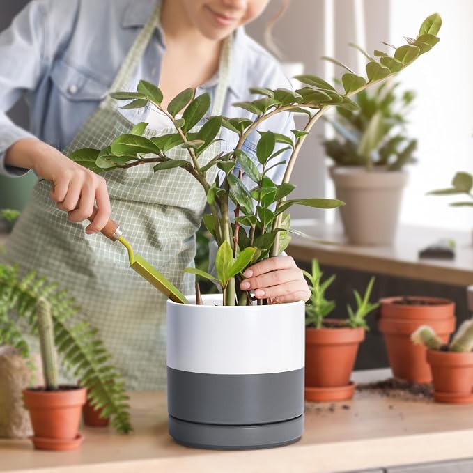 D'vine Dev 6.5 Inch Ceramic Planter Pot, White/Grey, 94-O-C-6 | Modern Cylinder Design, Drainage Hole & Saucer Included, Stable Structure, Elegant Home Accent