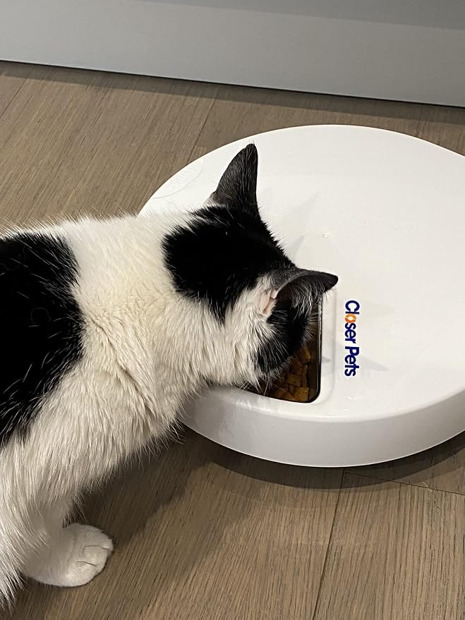 Closer Pets C500 Five-Meal Automatic Pet Feeder with Stainless Steel Bowls