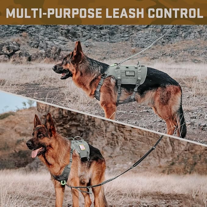 Forestpaw Tactical Dog Harness for Large Dogs,Tactical Dog Collar with Bungee Leash Set,No Pull Military Dog Harness for Walking Training,Adjustable for Medium Large Dogs,Gray,Chest 27-40"