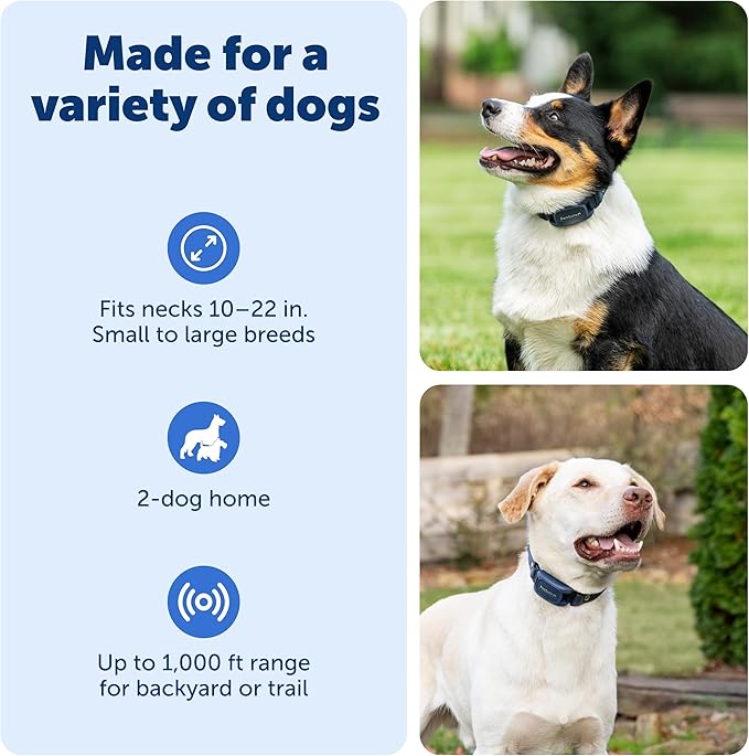 PetSafe Pro Dog Trainer with Remote and Add-A-Dog Collar Waterproof Training Collar 1000 ft Range Tone, Vibration and 19 Levels of Static Sleek, Low-Profile Design