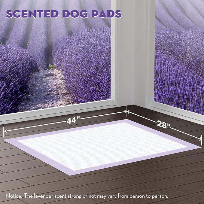 CROCI Large Puppy Pads with Adhesive Tabs Lavender Scented 28x44in 30Ct | Super Absorbent Dog Pee Pads Holds Up to 12 Cups of Urine, 6-Layers, Quick-Dry Surface, Leak-Proof, Disposable