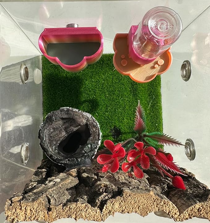 Jumping Spider Water Dispenser, Magnetic Hanging Feeder Dish with Cleaning Brush and Tweezers,Fits for Jumping Spiders,Arboreal Animals, and Other Small Animal Accessories (Colorful, 8ml)