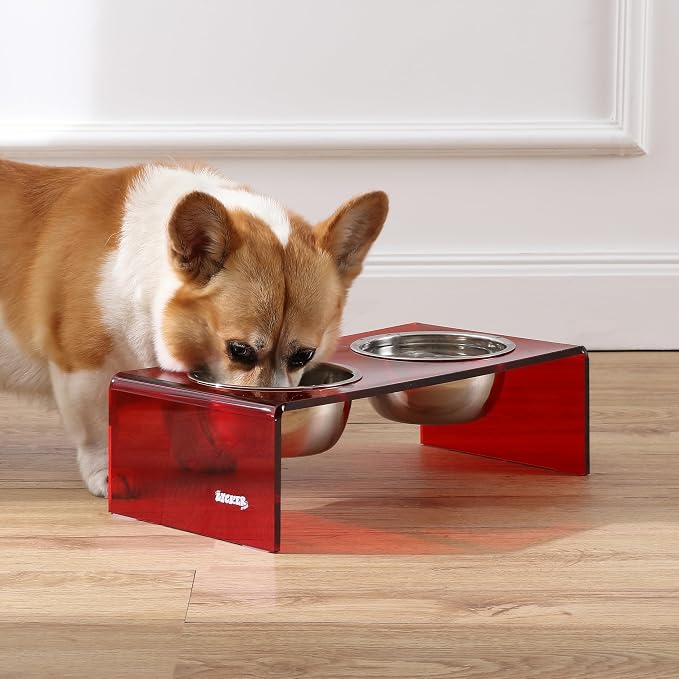 DBL2000H Keaton 5" Small/Medium Modern Acrylic Rectangular Elevated Pet Feeder with 20oz 2-Stainless Steel Bowls, Red/Chrome