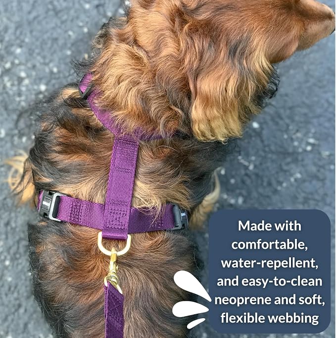 Adventure Dog Harness - Stylish, and Durable Medium Dog Harness for Outdoor Adventures and Everyday Wear - Plum Purple Neoprene Adjustable Harness for Dogs with Reflective Piping, Brass D-Ring