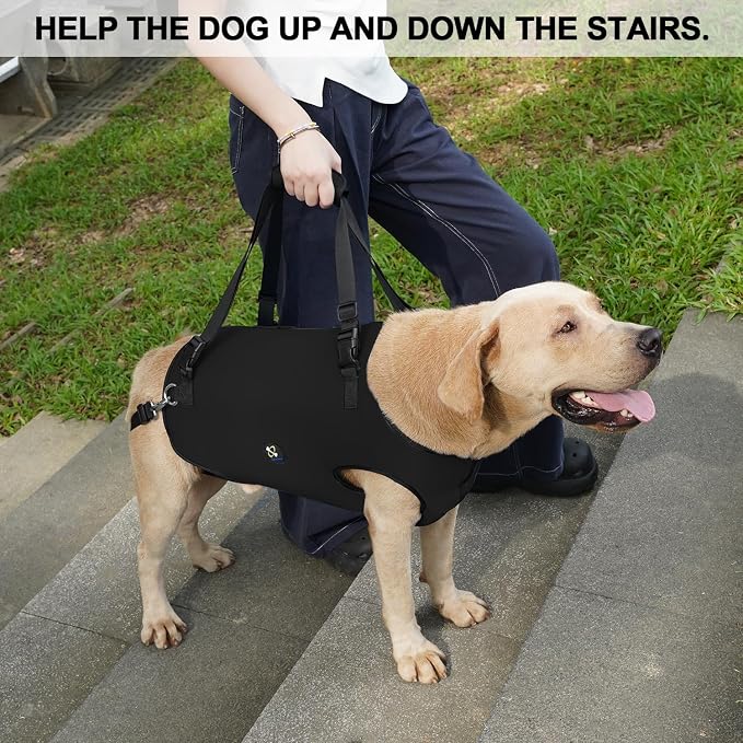 Coodeo Dog Lift Harness, Pet Support & Rehabilitation Sling Lift Adjustable Padded Breathable Straps for Old, Disabled, Joint Injuries, Arthritis, Loss of Stability Dogs Walk (Black, XL)