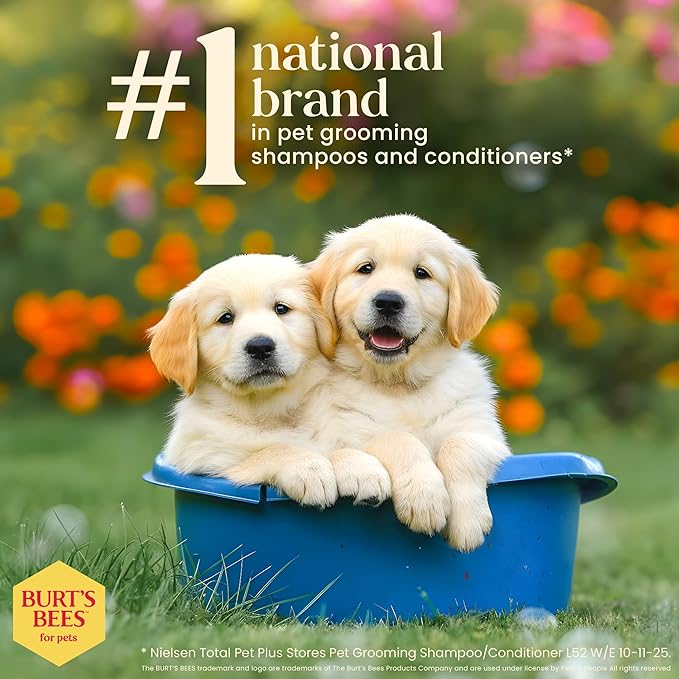 Burt’s Bees for Pets Tear Free Puppy Shampoo & Conditioner with Buttermilk, 2 in 1 Gentle Dog Shampoo for Puppies, Cleans and Conditions Sensitive Skin, 16 Fl Oz - 2 Pack