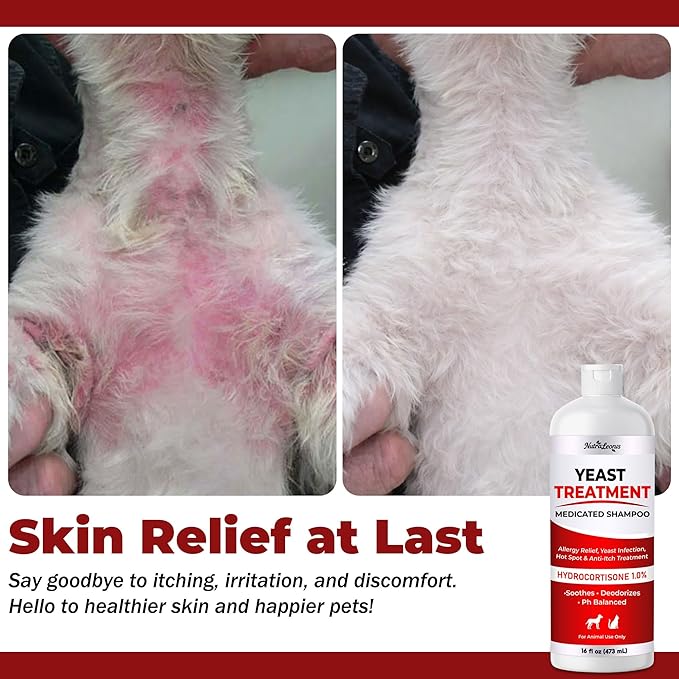 Yeast Infection Treatment for Dogs Shampoo - Allergy Relief, Yeast Infection, Hot Spot & Dry Skin Anti-Itch Treatment Wash - Vet Formula - Healthy Skin & Coat - 473ml / 16 fl oz