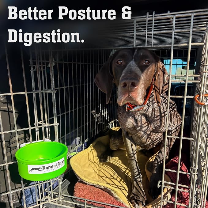 Dog Crate Water Bowl No Spill, 20oz Food-Grade Polypropylene Feeder (Green) | Secure Crate Mount with Covered Parts, Travel-Ready, Easy-To-Clean Design for Home, Crate Training and Travel