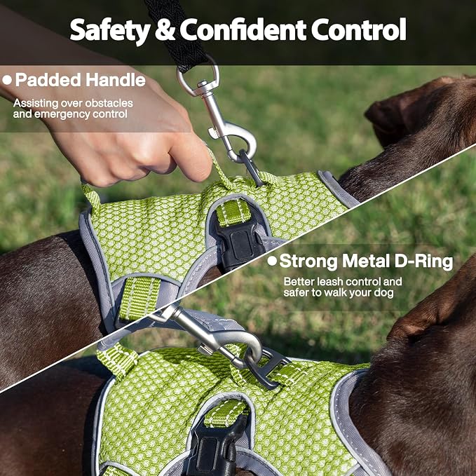 Escape Proof Dog Harness, Dachshund Harness, Reflective Dog Harness with Handle, Durable,Adjustable Vest for Small Medium Large Dogs Walking, Training, and Running Gear (Green,XL)