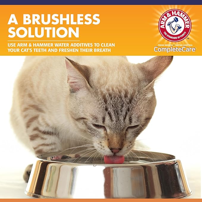 Arm & Hammer Complete Care Dental Water Additive for Cats, Cat Breath Freshener and Tartar Control, No Brushing Required, Odorless and Flavorless Cat Formula, 8 Fl Oz - 6 Pack