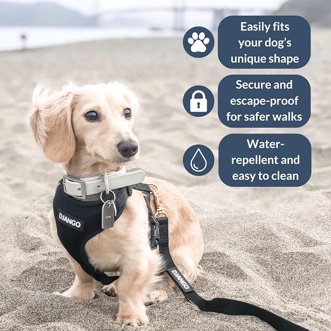 Adventure Dog Harness - Stylish and Comfortable Small Dog Harness for Outdoor Adventures and Everyday Wear - Black Neoprene Adjustable Harness for Dogs with Reflective Piping and Brass D-Ring