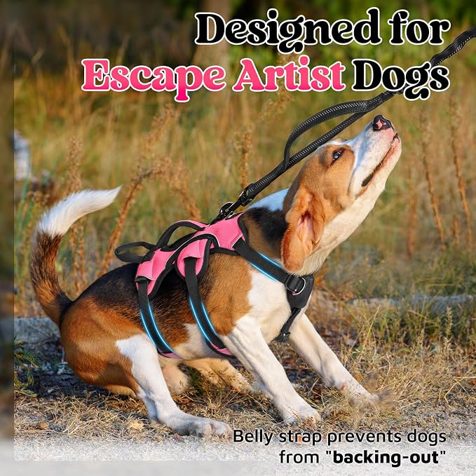 rabbitgoo Escape Proof Dog Harness for Small, No Pull with Lift Handle | No Escape, Full Soft Padded, Reflective Adjustable Vest, Leash Clip for Walking Hiking Training, Peach Pink, Small
