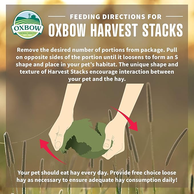Oxbow Harvest Stacks, Timothy Hay with Carrots, Guinea Pig Hay, Bunny Supplies, Timothy for Rabbits, Guinea Pigs, Chinchillas, and Other Small Pets, Bunny Food, 35 oz.