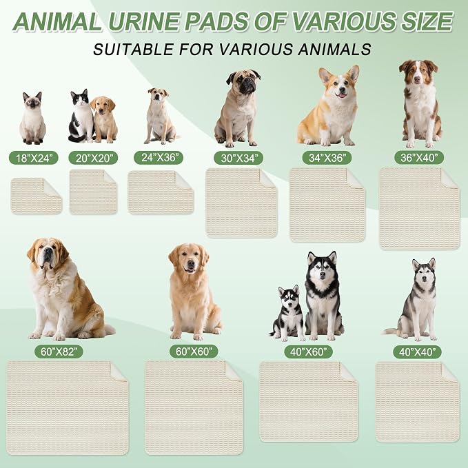 Washable Pee Pads for Dogs Puppy Pad, Cream White 30”x34” 2 Pack | High Absorbent Dog Pee Pad Leak Proof Cat Rugs, Reusable Non Slip Pet Mat, Wee Wee Pads for Training, Crate and Floor