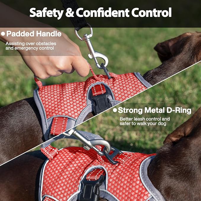 Escape Proof Dog Harness, Dachshund Harness, Reflective Dog Harness with Handle, Durable,Adjustable Vest for Small Medium Large Dogs Walking, Training, and Running Gear (Red,M)