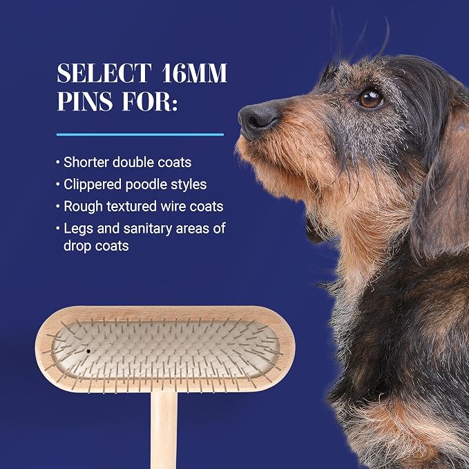 Chris Christensen Dog Brush, 16 mm,T-Brushes, Groom Like a Professional, Stainless Steel Pins, Lightweight Beech Wood Body, Ground and Polished Tips, Fight Fatigue and Stress Injuries