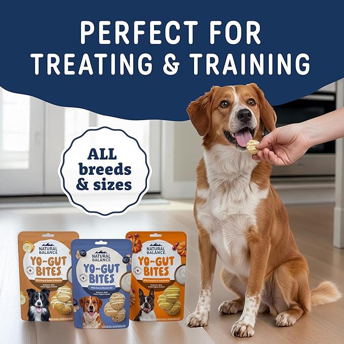 Natural Balance Yo-Gut Bites Crunchy Dog Treats with Real Oats & Blueberries, Greek Yogurt Drizzle, Probiotics for Digestive Support, 10oz Bag