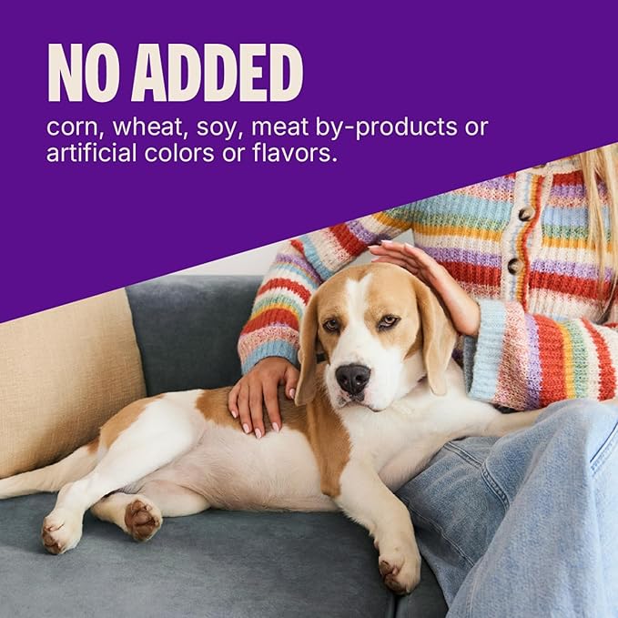 Wellness CORE Healthy Joints Soft Dog Treats, Natural, Grain Free, Beef Recipe, 9 oz Bag