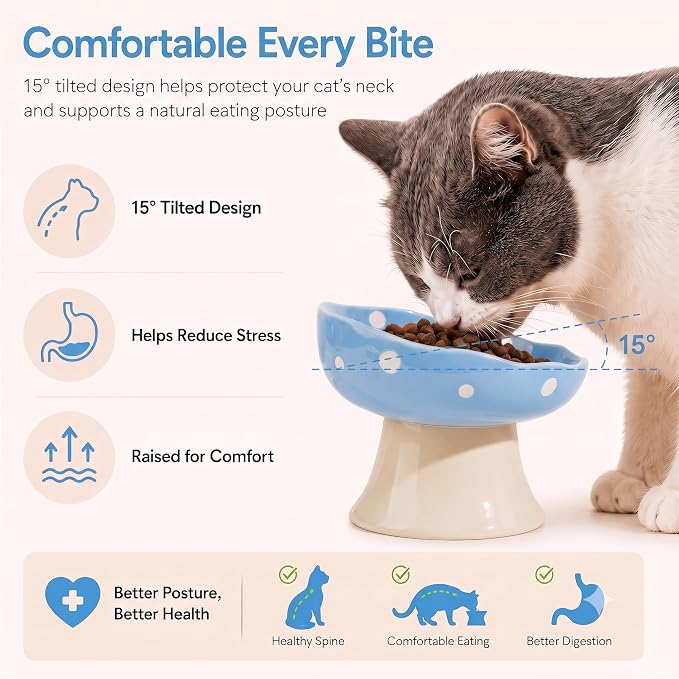Blue Mushroom Cat Bowl, Elevated Ceramic Bowl for Cats | Cute Mushroom Design, Elevated, Ceramic, Whisker Friendly, Anti Vomiting