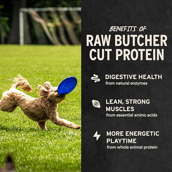 Vital Essentials Freeze Dried Dog Treats | Beef Liver, Single Ingredient | Premium Quality | Grain Free Training Treats for Dogs, 2.1 oz Bag