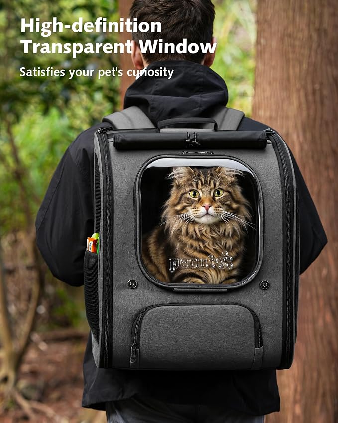 Pecute Cat Backpack Carrier,Large Space Cat Bubble Backpack,Ergonomic,Gray | XXL,Sunshade Curtain,Transparent Window,Safety Rope,Sturdy,Large Mesh on Both Side for Breathability,Suitable for Outdoor,Vet