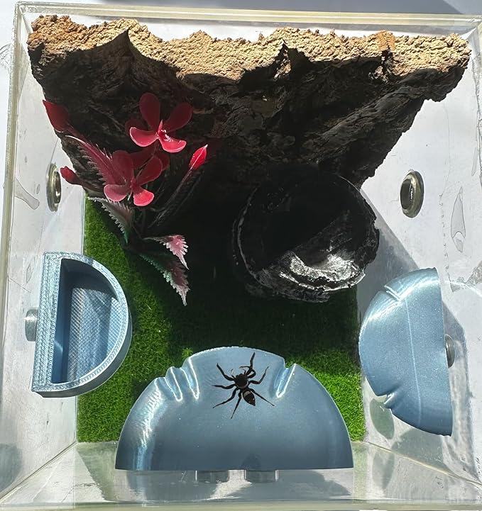 2 Pack Jumping Spider Accessories Mushroom Ledges & 1 Pack Water Bowl with Magnets for Spoods Jumping Spiders Magnetic Ledge Ladder Pet Spider Accessories (Not Included The Terrarium) (Silver)