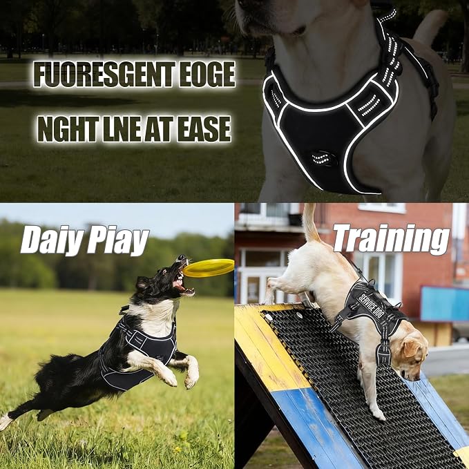 Service Dog Tactical Vest Harness and Leash Set Small Sized Dog Emotional Support- Tactical Dog Harness Training Collar with Name (Black, S)