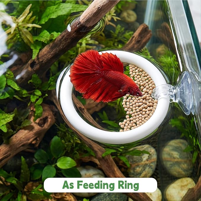 Betta Fish Tank Accessories, 2 Pcs Betta Exercise Ring and Bettas Mirror with Floating Ball, Plastic Bettas Fish Toys for Enrichment Aquarium, Fish Training & Play