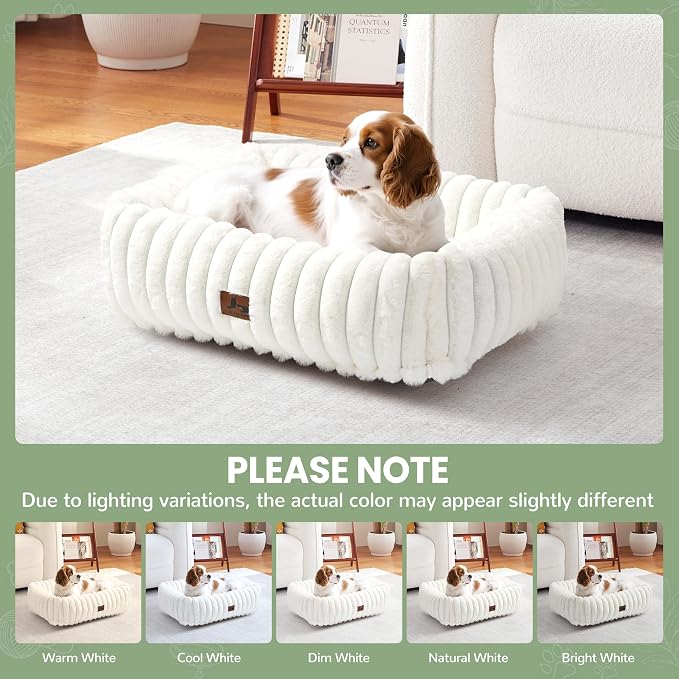 Washable Dog Bed for Small Medium Dogs, Rectangle Orthopedic Pet Bed with Removable Cover, Fluffy Memory Foam Dog Beds with Anti-Slip Bottom, Cream(25x21x7inchs)