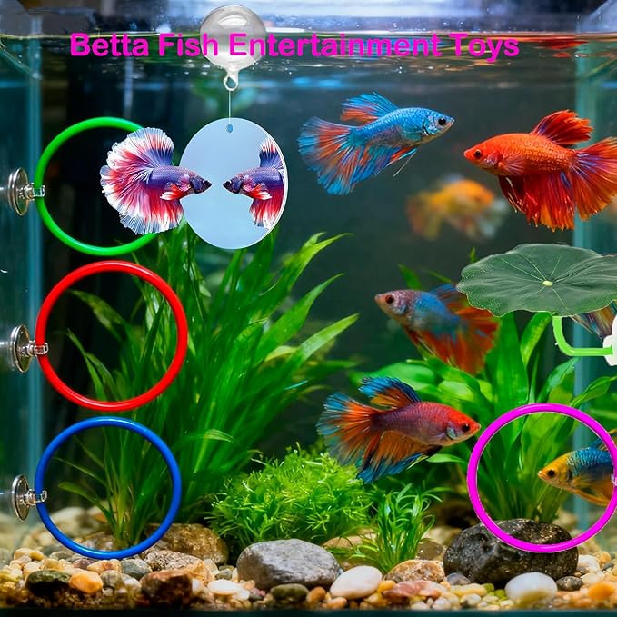 11pcs Betta Fish Enrichment Toys Fish Hideout Exercise Rings Floating Mirror Balls Tank Feeding Rings Training Ring Feeder Hammock Acrylic Tube Resting Breeding Tunnel Spot Aquarium Decor Accessory
