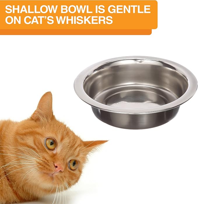 Neater Pet Brands Neater Feeder Deluxe Mess Proof Cat Bowls Elevated, Made in USA, No Spill Raised Bowls for Indoor Cats, Stainless Steel Food and Water Bowl Set, Pet Dish Feeding Station, Aquamarine