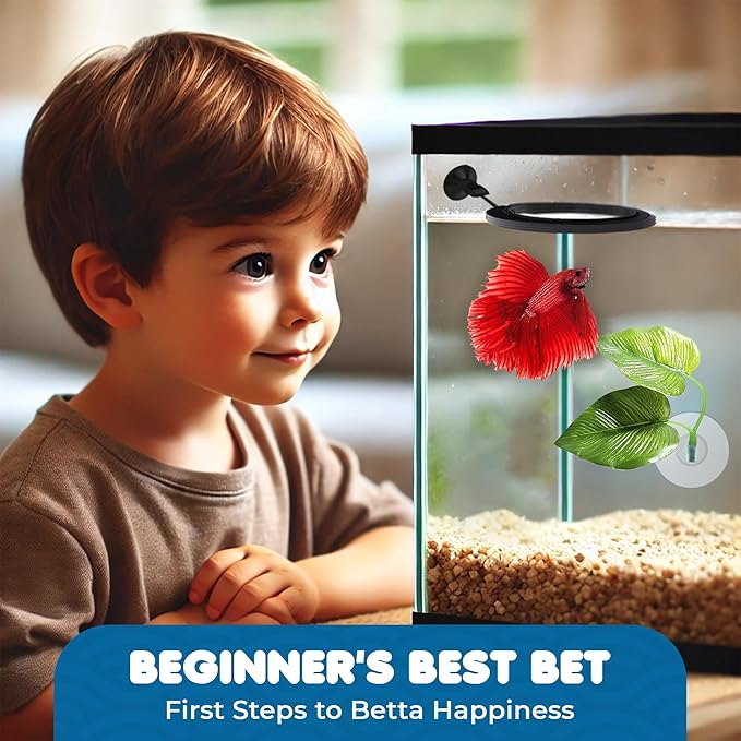 SunGrow Betta Ring and Leaf Hammock, Faux Fish Leaf Pad with Suction Cup, Spawning Ground, Breeding, and Resting Bed, Feeding Spot, Hideout Ornament and Aquarium Décor, Black Circle Fish Feeder, 2 Pcs