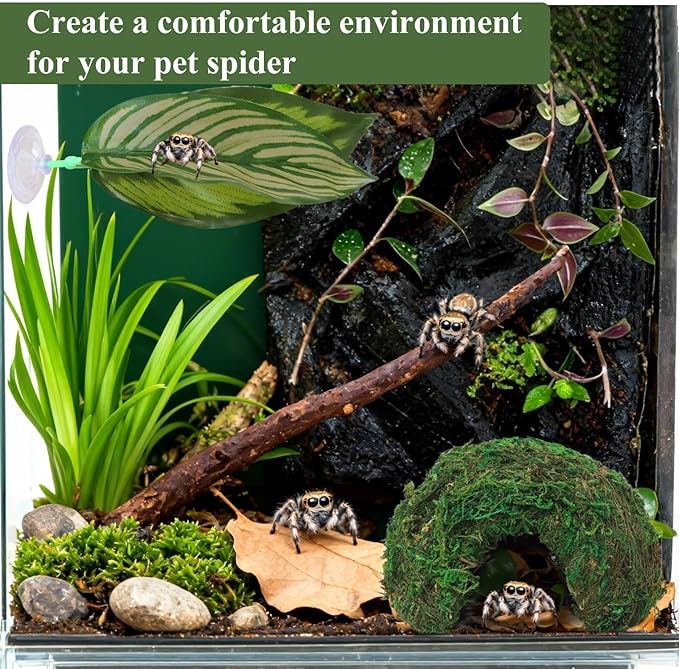 Big Jumping Spider Hide Kit, Jumping Spider Enclosures Habitat Accessories, Climbing Spiders Resting Hideout with Suction Cup Rope Bridge Leaf Ledge for Tarantula Small Insects
