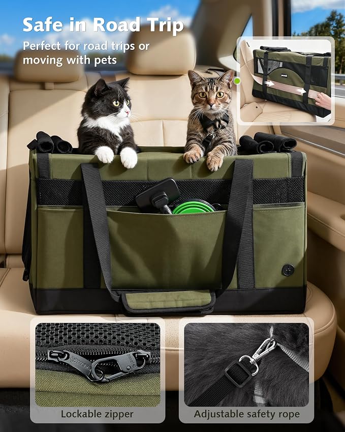 Pecute Cat Carrier, Soft Double Pet Crate for 2 Cats Travel, Green | 5mm Anti-collapse Frame, Convertible Dual Space, Foldable, Polyester Breathable mesh, Up to 26 lbs, Car Travel & Vet Visits