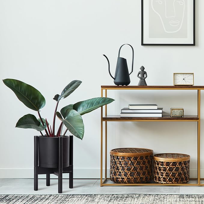 D'vine Dev Plastic Pot with Ebony Wood Stand, Black, 8 in, 55-C-K-2 | Mid-Century Inspired Design, Elevated Plant Display, Clean Lines, Sturdy Support, Modern Space-Saving Style