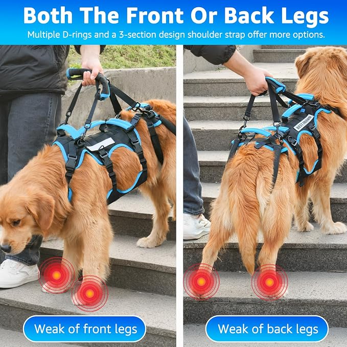 Dog Lift Harness for Large Male Dogs, 2-in-1 Detachable Support Harness, Full Body Carrying with 4 Handles, Dog Sling for Large Dogs Hind Leg Support(Black, X-Large)