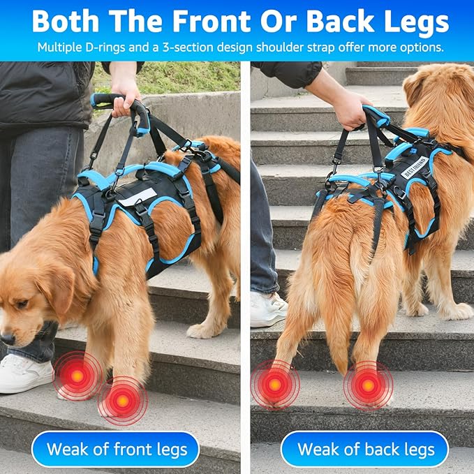 Dog Lift Harness for Extra Large Dogs, 2-in-1 Detachable Support Harness, Full Body Carrying with 4 Handles, Dog Sling for Large Dogs Hind Leg Support(Black, XX-Large)