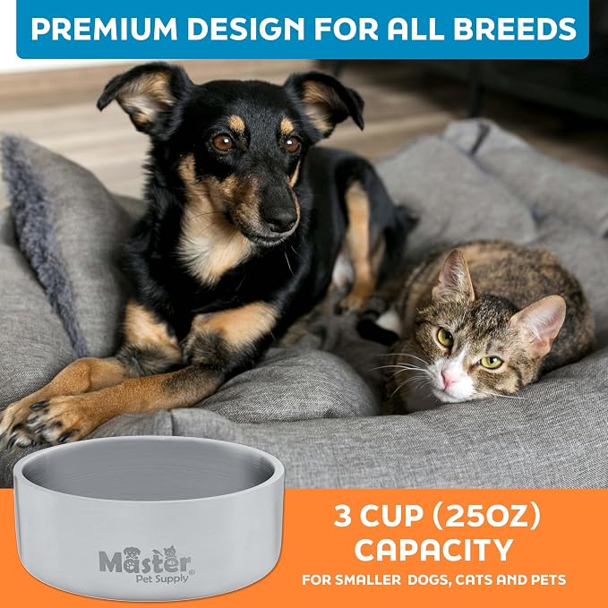 Master Pet Supply Stainless Steel Dog Bowls - 25 oz, Heavy Duty - Stainless Steel, Double Wall Extra-Thick Insulated, Non-Slip Pet Water Bowl for Dogs, Cats & Pets, Anti Rust Metal, Dish Washer Safe