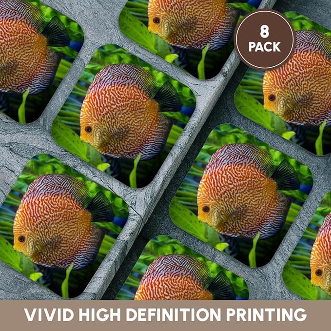 3dRose Super Pigeon Snakeskin Discus, Tropical Freshwater Fish Set of 8 Coasters - Soft