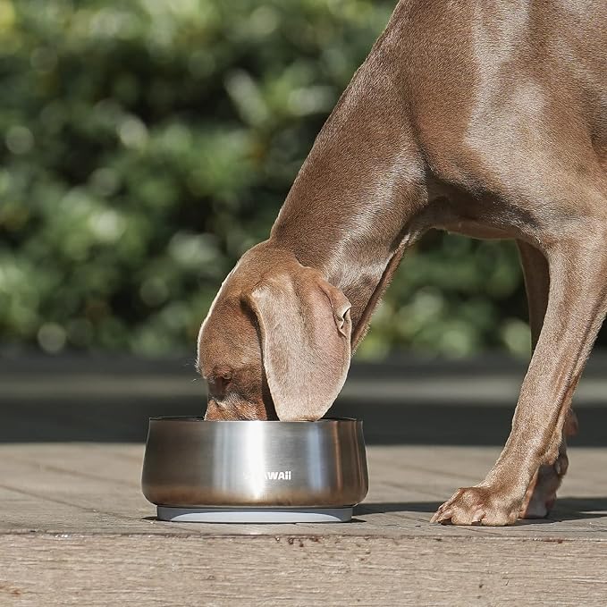 Pawaii Dog Bowl,68 oz Stainless Steel Food and Water Bowl,ID Tag,1 Pack | Double-Wall Design,Non-Slip Rubber Base,Dishwasher Safe,Smooth Open Design, Not a Slow Feeder,Easy-Rinse Interior