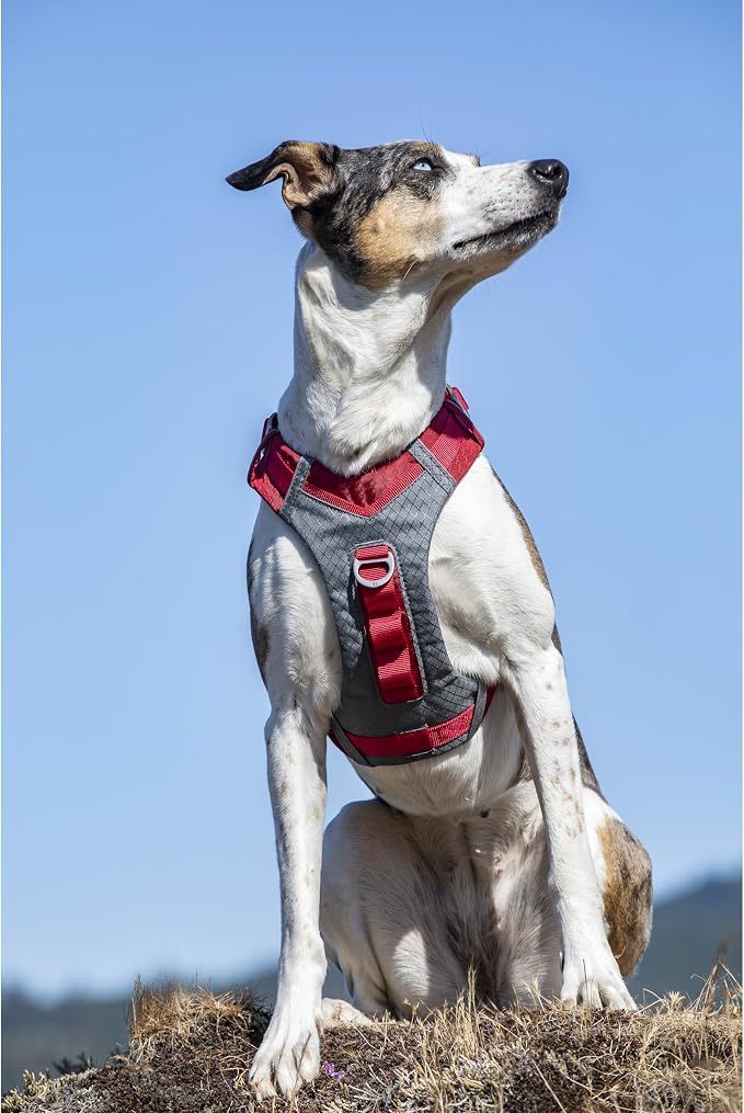 Kurgo Journey Air Dog Harness, Red, Extra Large | Padded Chest, Ripstop Outer & Breathable Mesh, Back Assist Handle, Rust-Free Aluminum Hardware, Reflective Trim