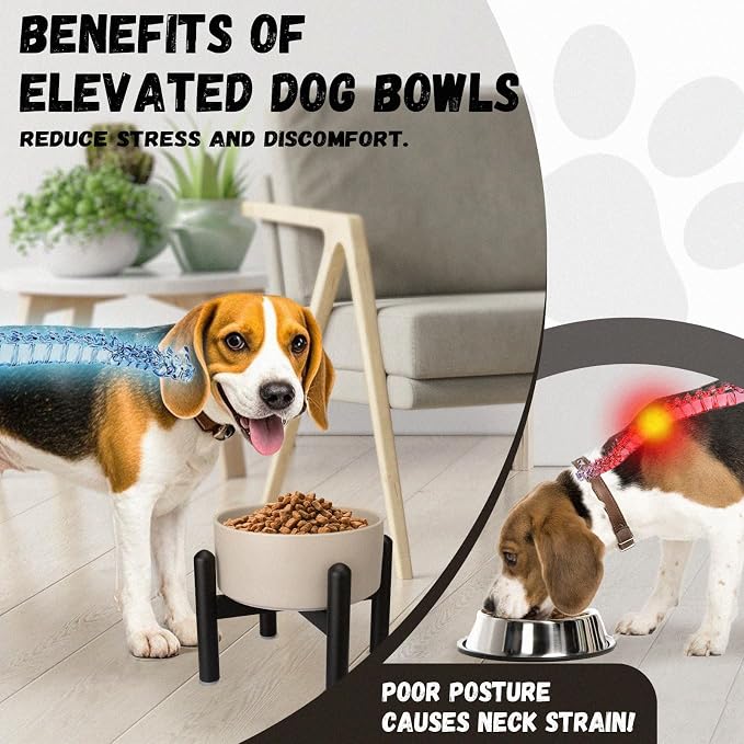 Raised Ceramic Dog Bowl Set with Stand, 2 Cups Elevated Dog Food Stand | 6.1'' Single Dog Food or Water Bowl Set, Non-Slip Dog Feeding Dishes for Small to Medium Breeds, 28.75 OZ, Green