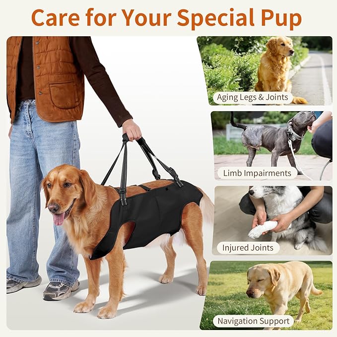 Full Body Dog Lift Harness, Support Senior & Disabled Dogs Walking | Help Up & Down Stairs Grooming, Dog Sling Backpack, Front Hind Leg Joint Injuries, Reflective, Soft Padded Handle | Black, M