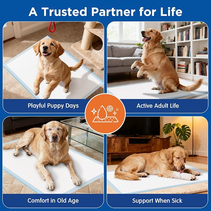 Dog Pee Pads Extra Large 31"x47" - XXL Disposable Puppy Potty Training Pads for Dogs, Heavy Duty 6-Layer Leak-Proof, Super Absorbent & Quick-Dry, 20 Count