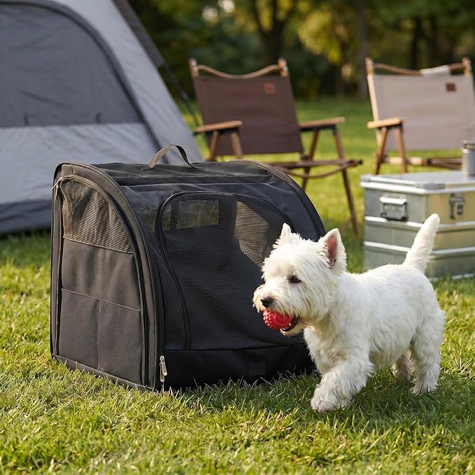 Dog Car Crate, Enclosed Foldable Cat Car Seat Carrier, 20x19x19.5in, Black | Portable Dog Cat Carrier with Seatbelt Attachment & Headrest Strap, Soft-sided Pet Kennel with Bed for Pet Travel up to 25 lb